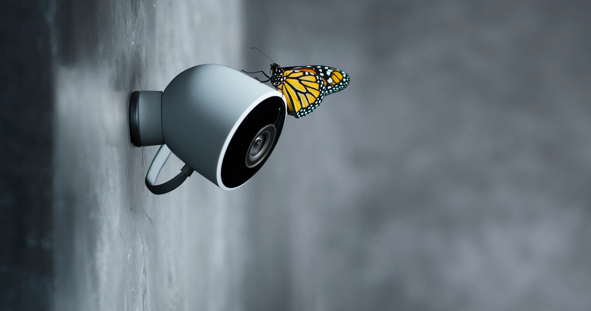 Nest Cam Outdoor full